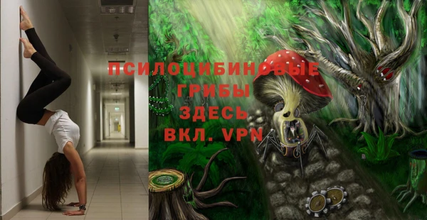 герыч Балахна